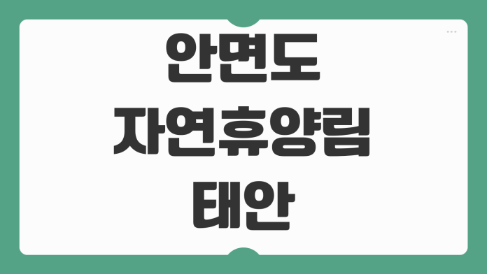 안면도자연휴양림 태안 예약 숲속의집 휴양관 숙박 요금 객실 선택 성수기 신청 팁