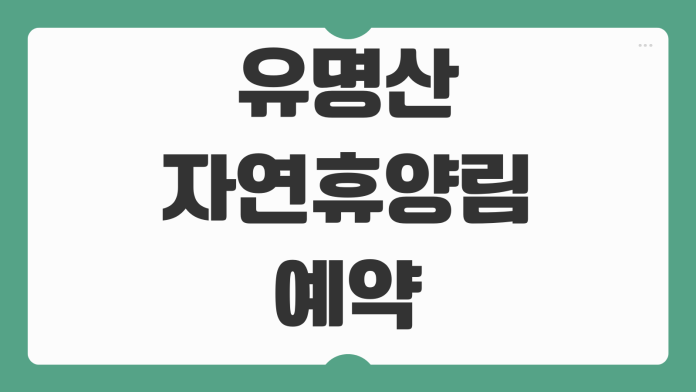유명산자연휴양림 예약 입장료 숲속의집 산림휴양관 데크 야영장 주차 가평 여행 팁