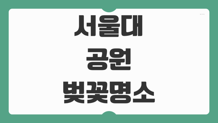 서울대공원 벚꽃 명소 개화시기 실시간 CCTV 현황 주차 코스 산책로 사진 스팟 방문 팁 서울대공원 벚꽃 명소 개화시기 실시간 CCTV 현황 주차 코스 산책로 사진 스팟 방문 팁
