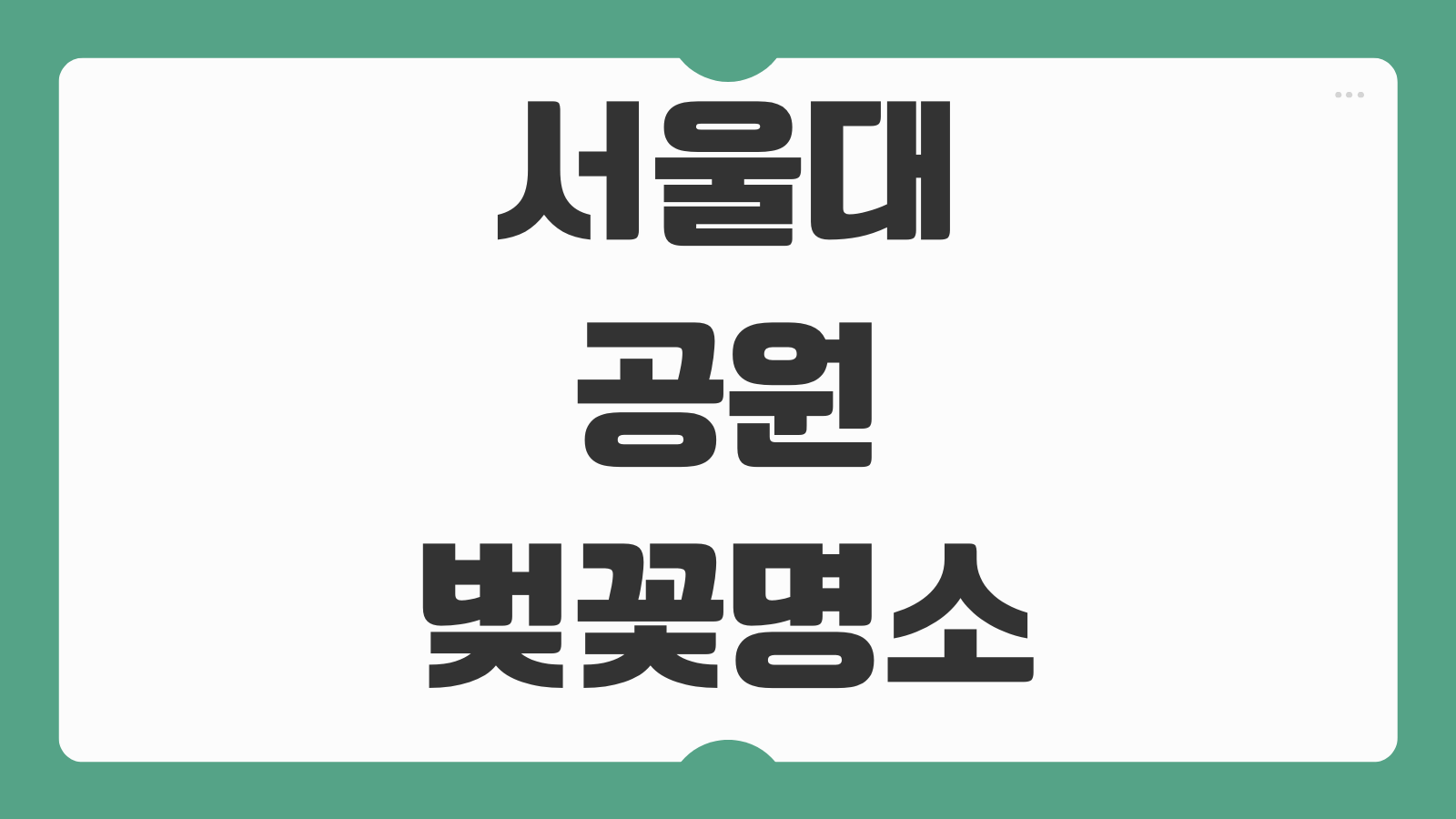 서울대공원 벚꽃 명소 개화시기 실시간 CCTV 현황 주차 코스 산책로 사진 스팟 방문 팁