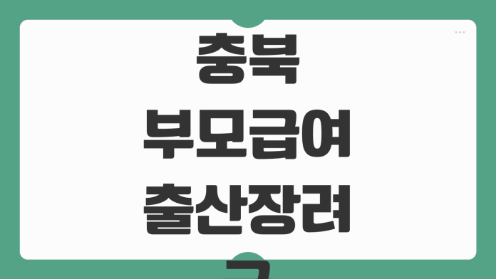 충북 부모급여 출산장려금 인상 금액 지급 대상 연령 기준 신청 정보