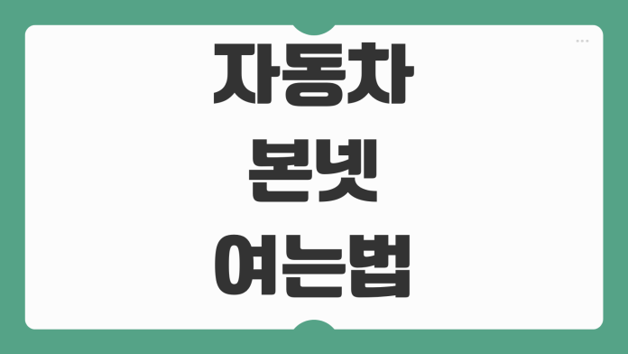 자동차 본넷 여는법 워셔액 넣는법 엔진룸 위치 확인 초보운전 팁