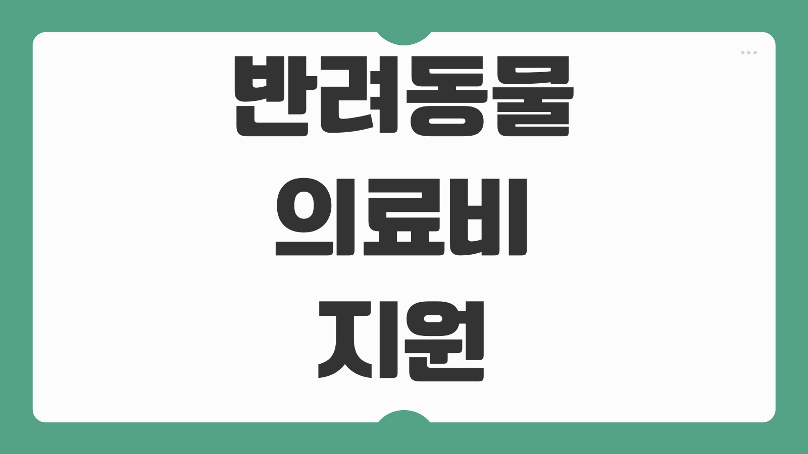 반려동물 의료비 지원 지역별 신청 정보 강아지 고양이 진료비 혜택 정리