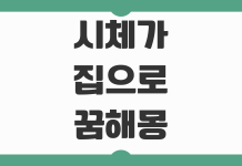 시체가 집으로 들어오는 꿈 해몽 무서워도 재물운 신호인지 풀이 정리 시체가 집으로 들어오는 꿈 해몽 무서워도 재물운 신호인지 풀이 정리