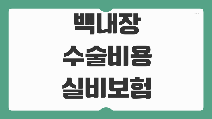 백내장 수술비용 실비보험 청구서류 비급여 항목 입원통원 인정기준