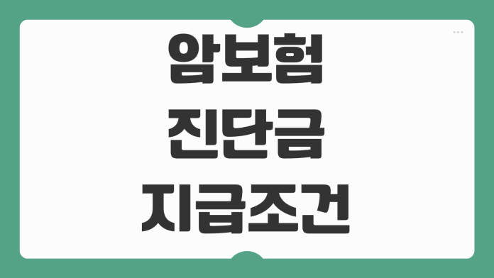 암보험 진단금 지급조건 면책기간 감액기간 갱신형 비갱신형 비교 체크 암보험 진단금 지급조건 면책기간 감액기간 갱신형 비갱신형 비교 체크