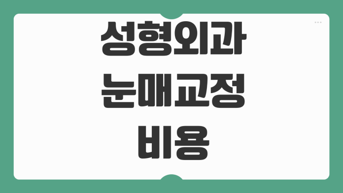 성형외과 눈매교정 비용 재수술 가능성 회복기간 병원상담 체크항목