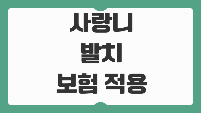 사랑니 발치 보험 적용가능 여부 실비청구 입원기준 치과서류 준비 사랑니 발치 보험 적용가능 여부 실비청구 입원기준 치과서류 준비