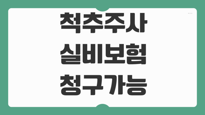 척추주사 실비보험 청구가능 여부 비급여 서류준비 지급기준 포인트