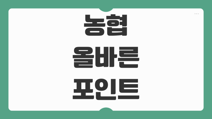 농협 올바른포인트카드 해외결제 수수료 적립 혜택 이용 방법 정리