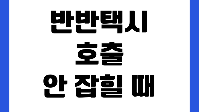 반반택시 호출 안 잡힐 때 우선배차 지역제한 심야할증 결제수단 호출팁