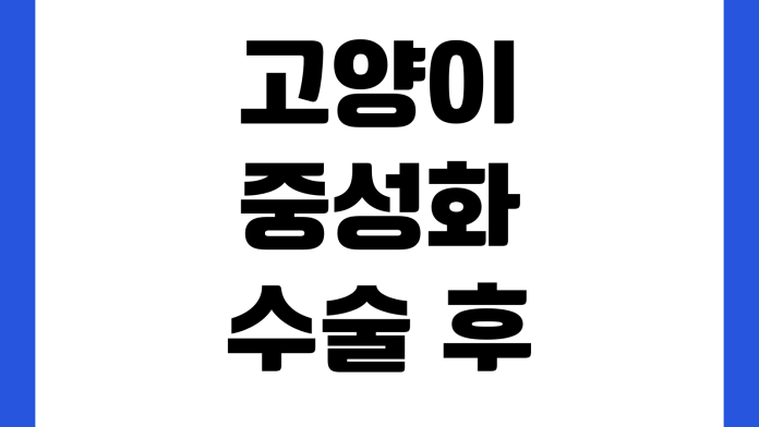 고양이 중성화 수술 후 넥카라 언제 빼나 실밥제거 회복기간 식욕저하 약복용 고양이 중성화 수술 후 넥카라 언제 빼나 실밥제거 회복기간 식욕저하 약복용
