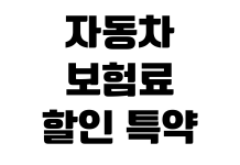 자동차 보험료 할인 특약 주행거리 블랙박스 자녀 할인 적용 방법 자동차 보험료 할인 특약 주행거리 블랙박스 자녀 할인 적용 방법