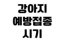 강아지 예방접종 시기 비용 항목 병원 예약 건강검진 체크리스트 강아지 예방접종 시기 비용 항목 병원 예약 건강검진 체크리스트