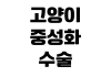 고양이 중성화 수술 비용 회복 기간 사전 검사 병원 선택 기준 고양이 중성화 수술 비용 회복 기간 사전 검사 병원 선택 기준