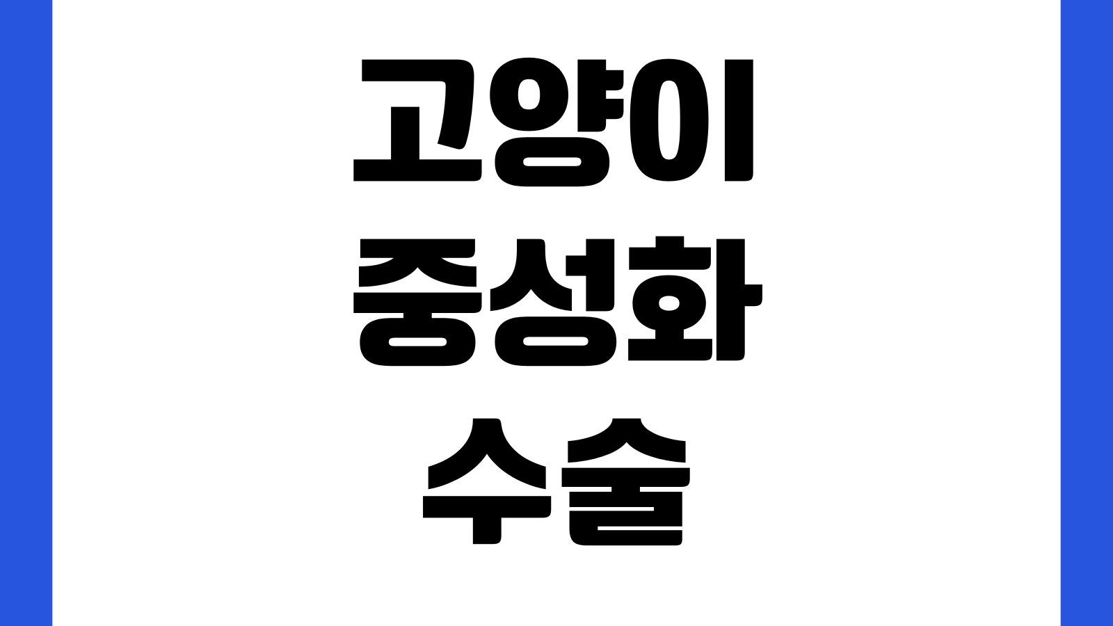 고양이 중성화 수술 비용 회복 기간 사전 검사 병원 선택 기준