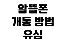 알뜰폰 개통 방법 유심 배송 번호이동 셀프개통 요금제 비교 알뜰폰 개통 방법 유심 배송 번호이동 셀프개통 요금제 비교