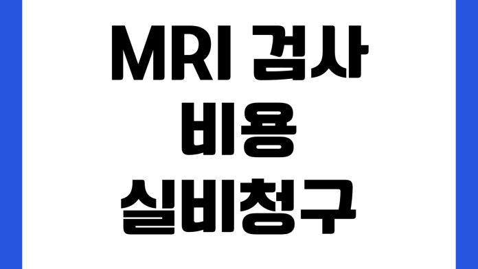 MRI 검사 비용 실비 청구 가능 여부 예약 방법 조영제 주의사항 MRI 검사 비용 실비 청구 가능 여부 예약 방법 조영제 주의사항