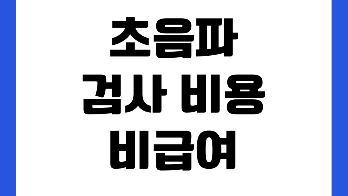 초음파 검사 비용 비급여 확인 실비 청구 서류 병원별 차이 초음파 검사 비용 비급여 확인 실비 청구 서류 병원별 차이