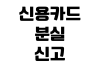신용카드 분실 신고 재발급 해외 결제 차단 사용 내역 확인 신용카드 분실 신고 재발급 해외 결제 차단 사용 내역 확인