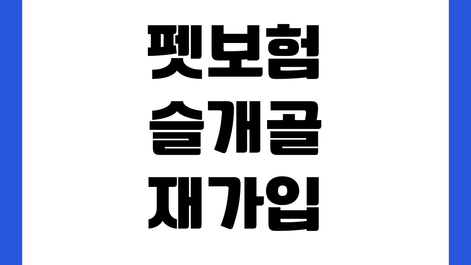펫보험 슬개골 재가입 조건 수술이력 면책기간 보험료할증 체크